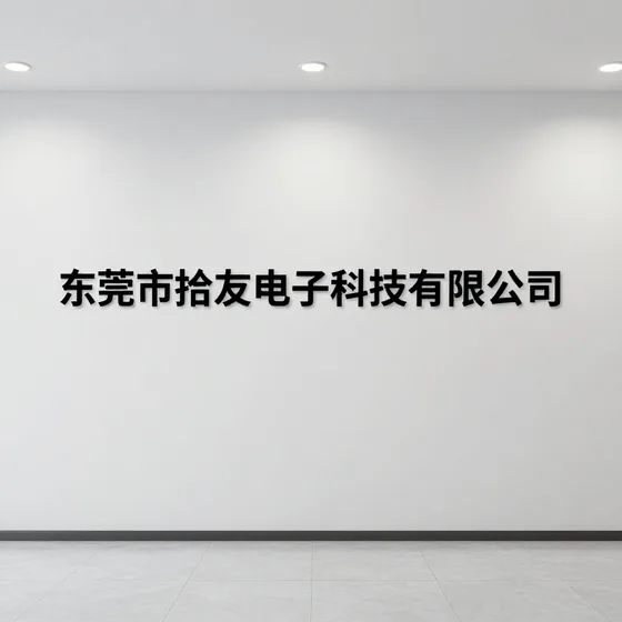 东莞市拾友电子科技有限公司实用指南