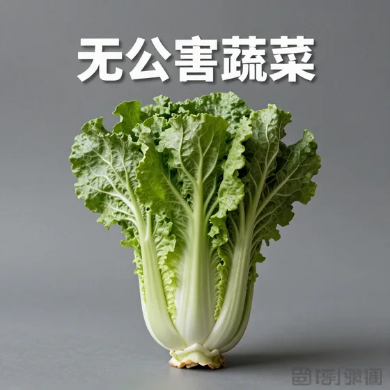 该品牌